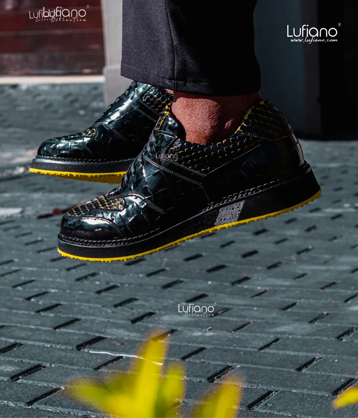 221 Lufiano Lace up : Black- Yellow